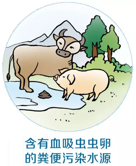 1673505672491598.png 图片1.png