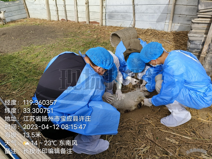 1682233817861483.jpg 5d2065fd010bdd3f3b1b40261b33f33.jpg