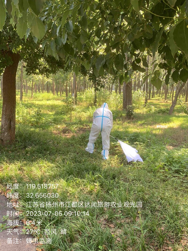 1688955827362263.jpg 1.jpg