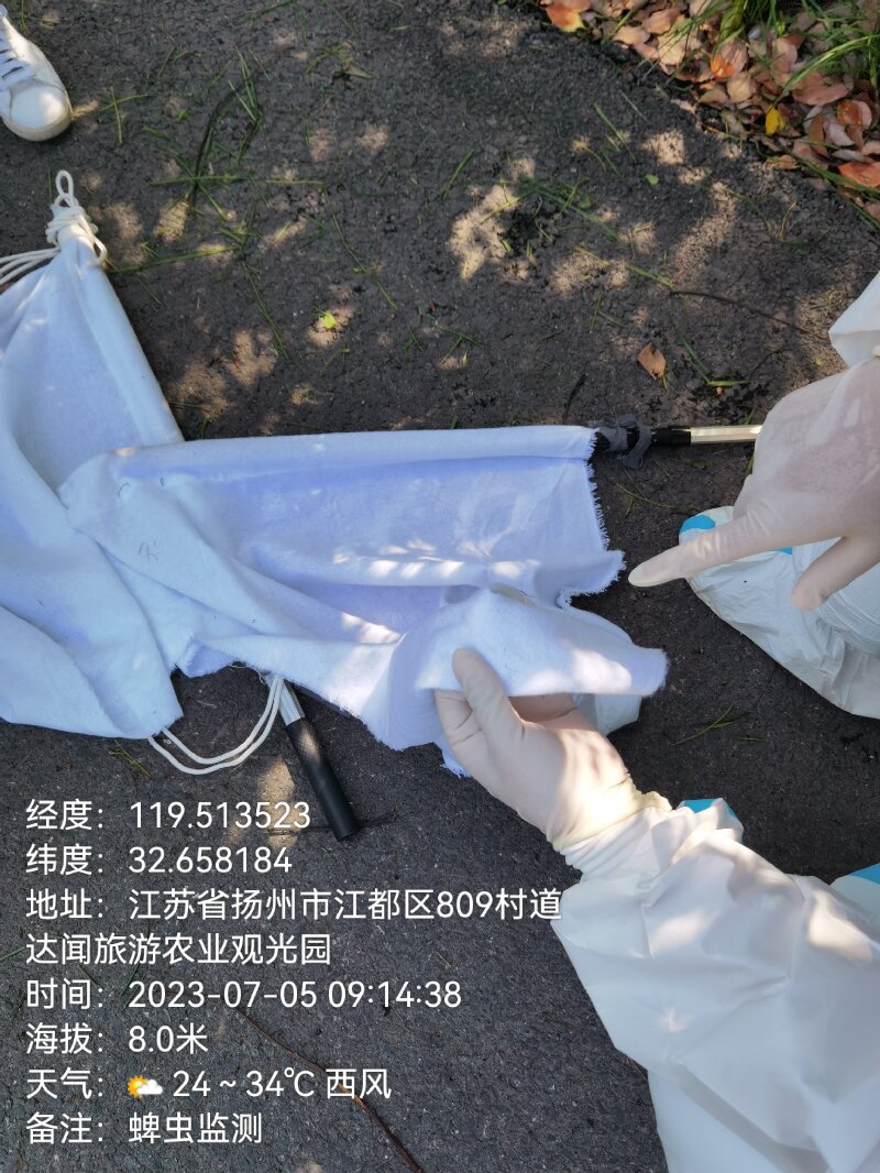 1688955833942260.jpg 2.jpg