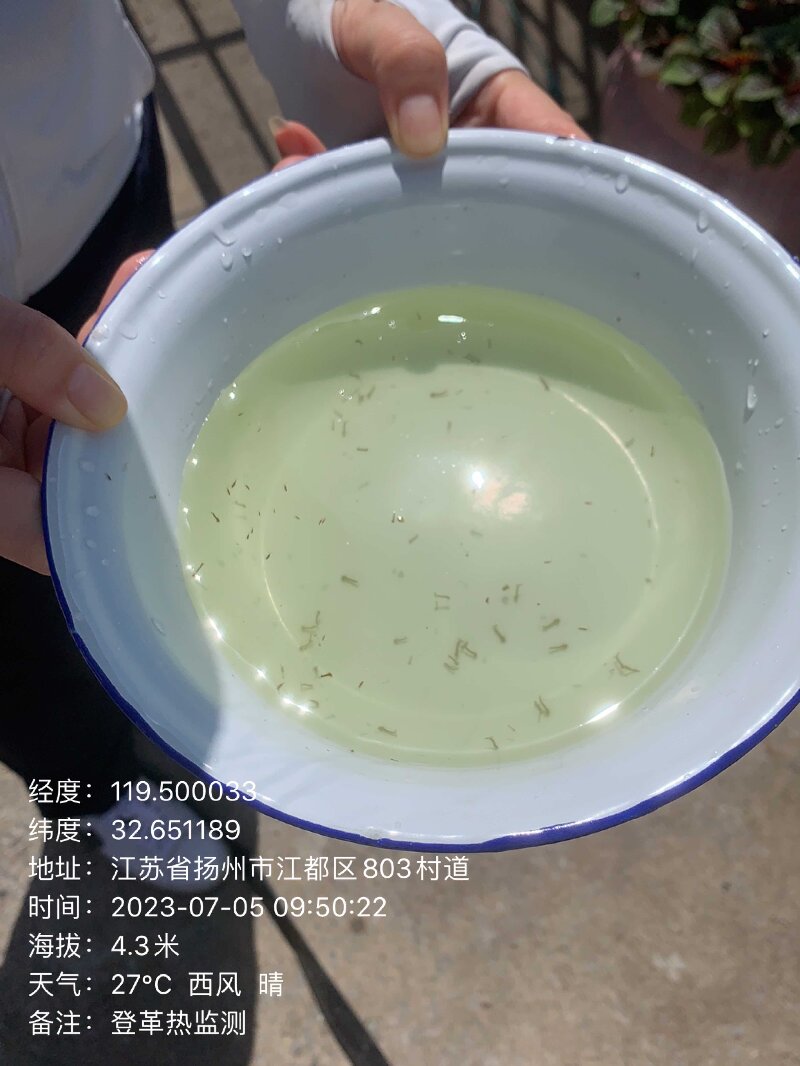 1688955849572598.jpg 3.jpg