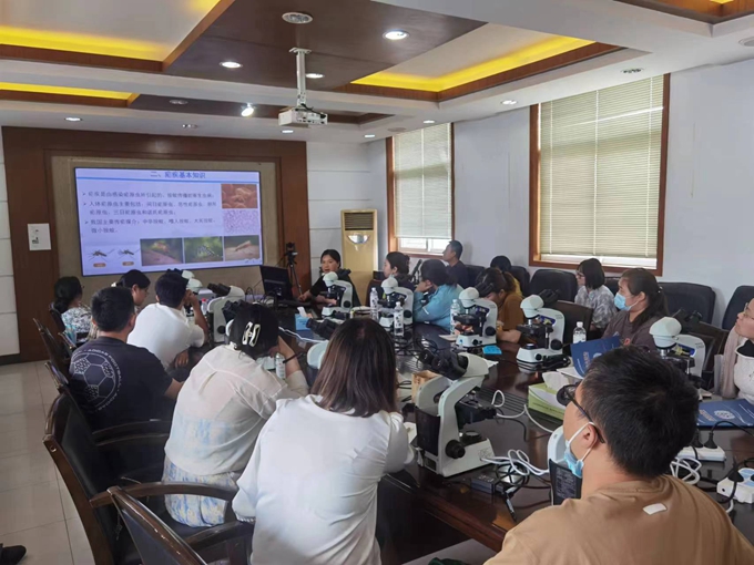 1692151483387474.jpg 4d70a66160e534376ee0ca746417d4a.jpg