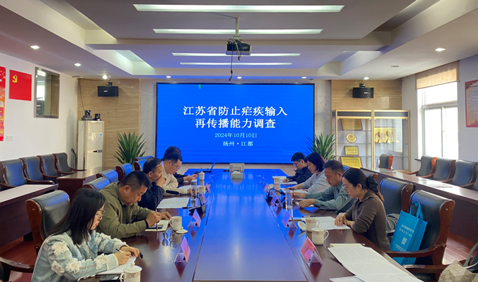 1728722008208971.png 图片1.png