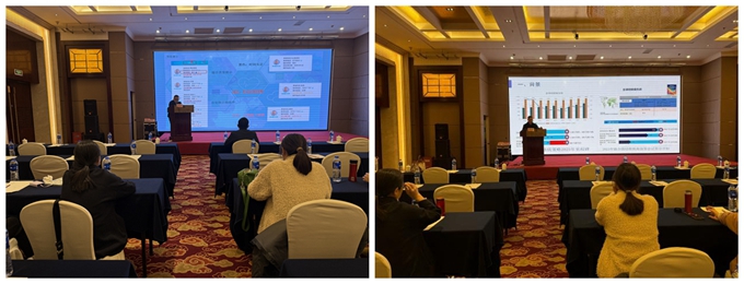 1732522754480853.jpg 333.jpg