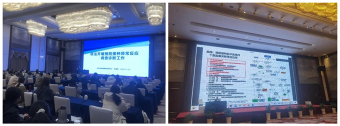 1732774822766731.jpg 111.jpg