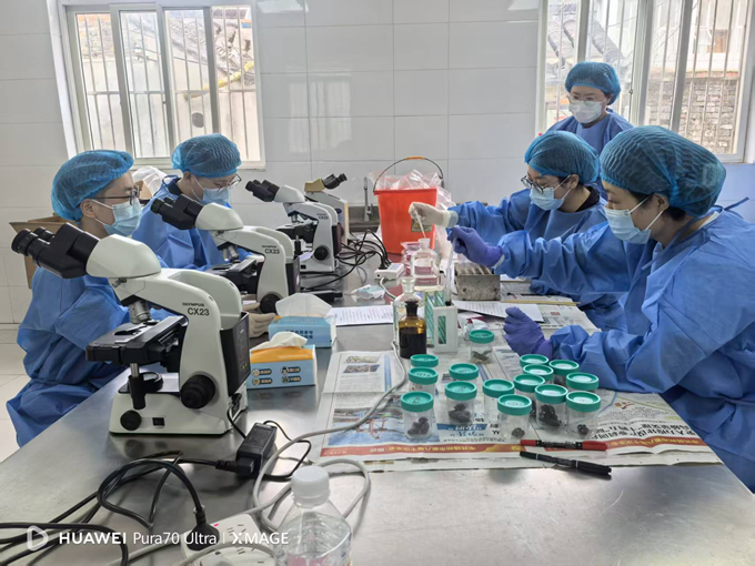 1761557396462715.png 图片4.png