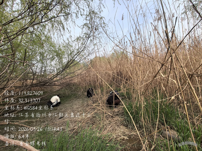 1774949047364614.png 图片5.png