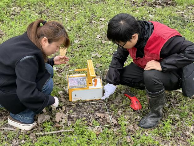 1774949065194356.png 图片7.png